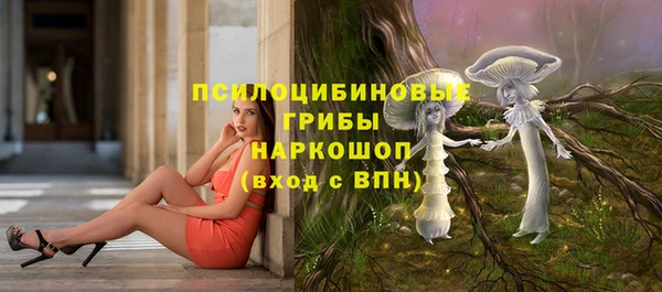 винт Абинск