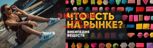 гидра Ельня