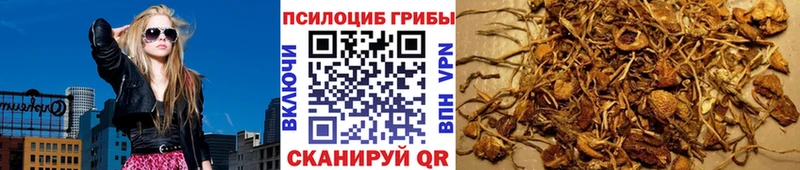 мега зеркало  маркетплейс какой сайт  Орск  Галлюциногенные грибы прущие грибы  где можно купить наркотик 