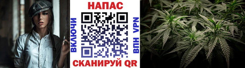 Конопля марихуана где найти Орск